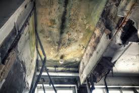 Mold Odor Removal Services in Reynoldsburg, OH